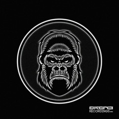 Fascination (Acid Pass Mix)