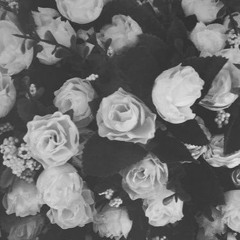 XO (prod. Alex Zander)