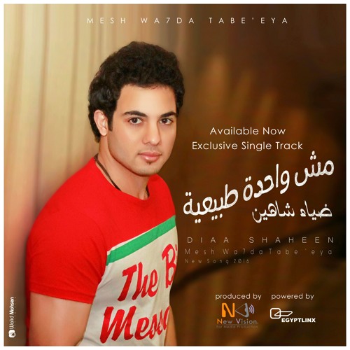 Diaa Shaheen - Mesh Wahda Tabe'ya (Ft. Dj Blazin ضياء شاهين - مش واحدة طبيعية ( البلازن