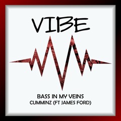 Cumminz - Bass In My Veins (feat. James Ford)