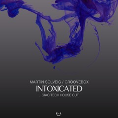 Intoxicated (Giac Tech House Cut) - Martin Solveig & Groovebox