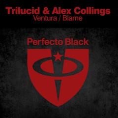 Trilucid & Alex Collings - Blame (Radio Edit)