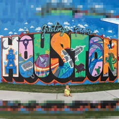 Houston - The Flails