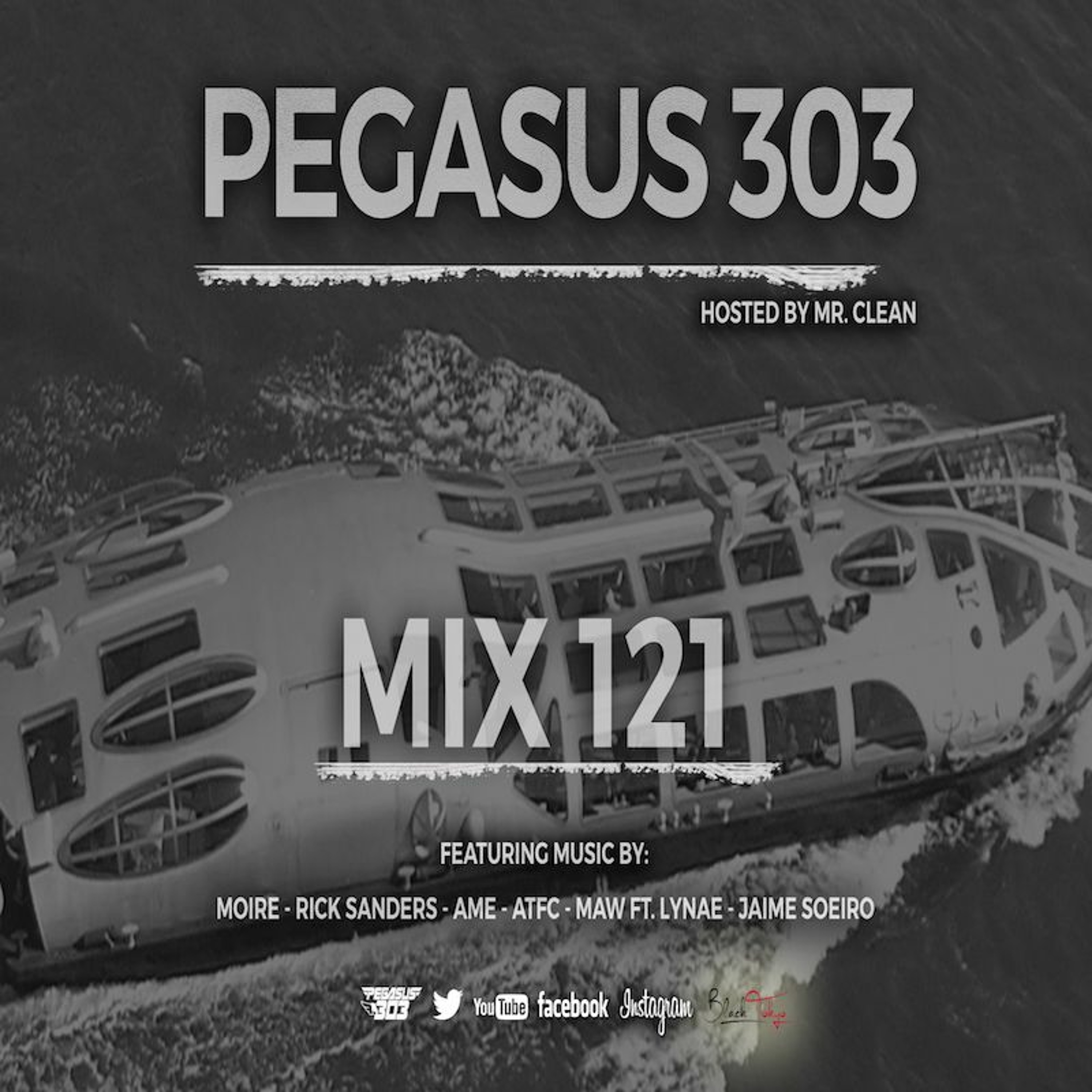 Pegasus 303 (mrclean)