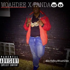 WoahDee - Panda Freestyle