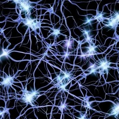 Between Synapses