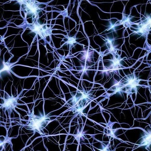 Between Synapses