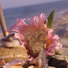 CORSICA MEDITATION CHILL NIVULE DI VERANU by GALAXIA