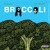 Artwork for BROCCOLI feat. Lil Yachty (Prod By. J Gramm)