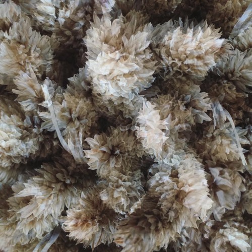 Thread