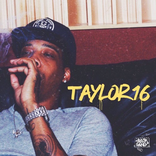 Taylor 16