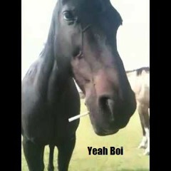 Back To Our Regularly Scheduled Program