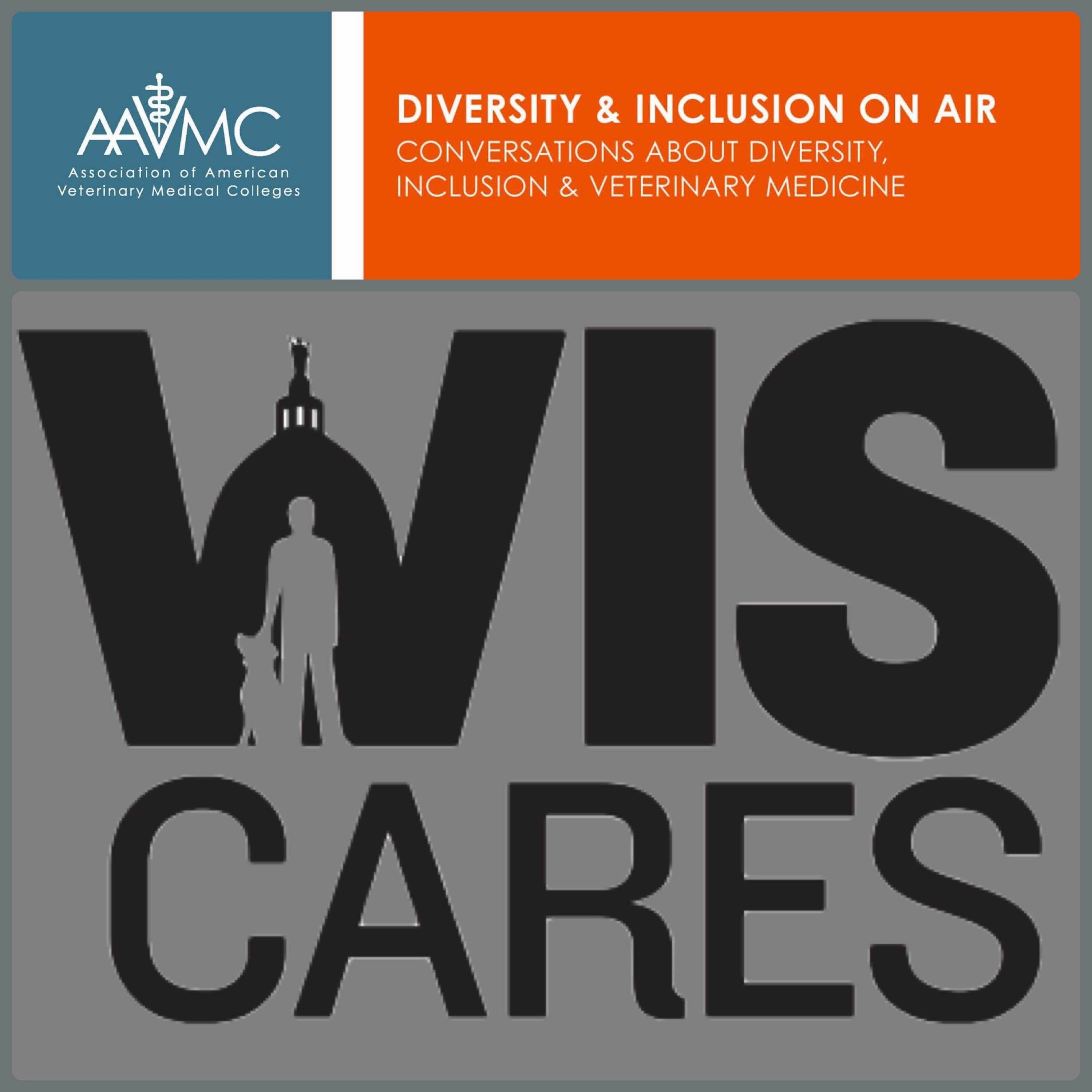 1: Dr. William Gilles Discusses the WisCARES Program at UW-Madison episode artwork