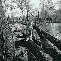 WELCOME HOME (SANITARIUM)