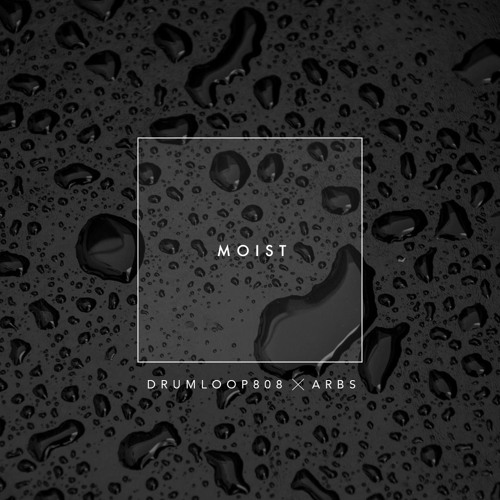 DRUMLOOP 808 X ARBS - Moist