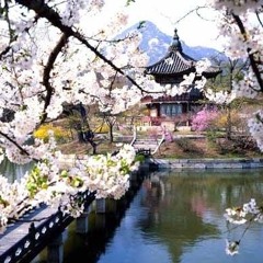 Nhật Ký Của Mẹ - Hải Triều – Japanese Version