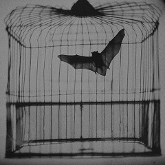 Las madrugadas que me das la espalda