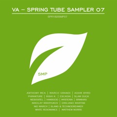 Better Ways (Original Mix)[Spring Tube Label]