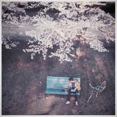 working from a park bench