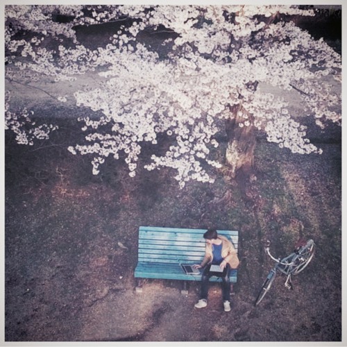working from a park bench
