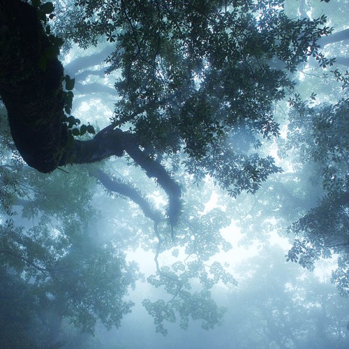 Curtis Heron - i know