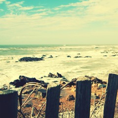 summer ♫ sunshine ♫ floanish