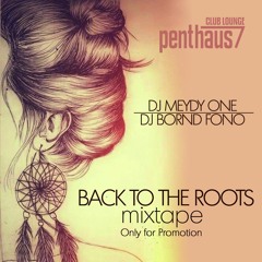 Back To The Roots - Vol. I