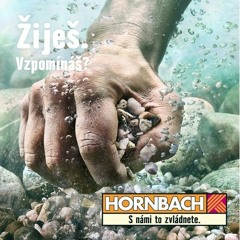 Listen to playlists featuring HORNBACH - Bambus(ije. Vzpomn?) by  HORNBACH online for free on SoundCloud