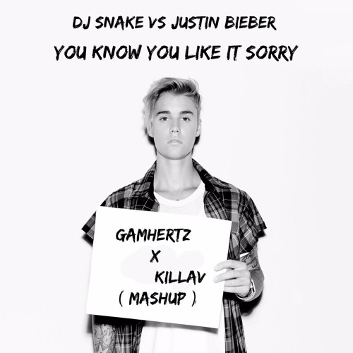 Dj Snake vs Justin Bieber - You know you like it Sorry (GamHertz x KillAV Mashup)