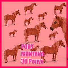 Scarface Johansson - 30 Ponys