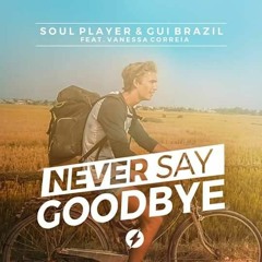 Soul Player & Gui Brazil Feat. Vanessa Correia - Never Say Goodbye (Rick Toweff Remix) RADIO EDIT
