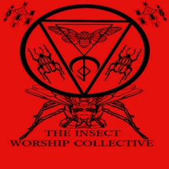 Lynch Project - Witchcraft Deconstruction
