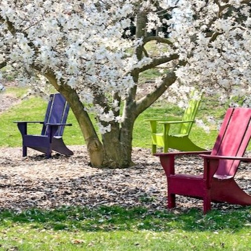 Stream episode Dr Steven Levine Medical Minute Spring Allergies WICC radio 4716 by ENT