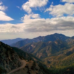 Pensive Polarities ( 2024 – Present )