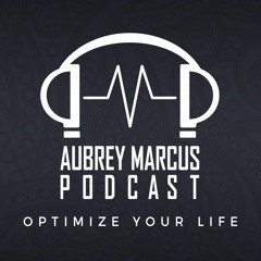 AMP Podcast 27: Joe Rogan
