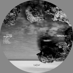 VCTR003 Gønzalo , ANGLE EP