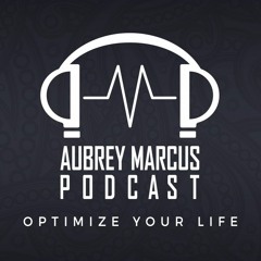 AMP Podcast 12: Donald Schultz