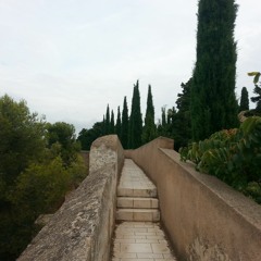 Why are turtles so slow? (rough studio  version)