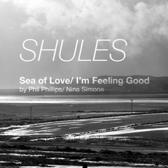 Sea Of Love/ I'm Feeling Good - Phil Phillips/ Nina Simone Mashup Cover