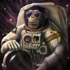 Space Monkey Flies High