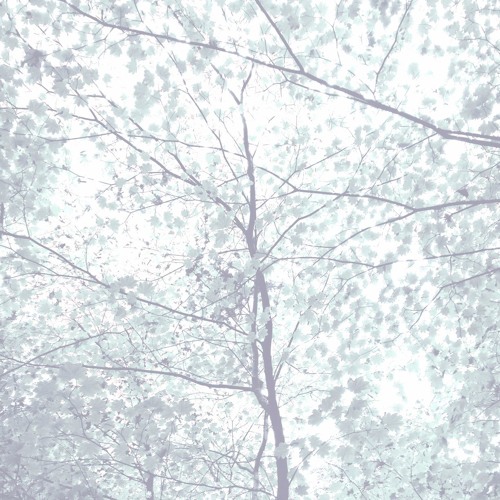 'Distant Works II' excerpt