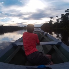Perfect Day