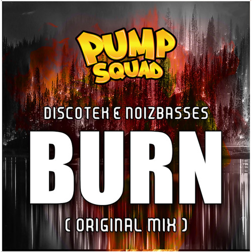 Discotek vs. NoizBasses - Burn (Orginal Mix)