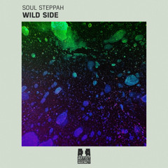 Soul Steppah - Wild Side