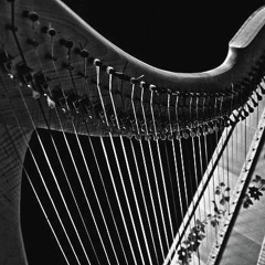 Sprout And The Bean (Joanna Newsom Cover)