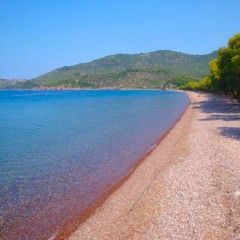 Beach Savasana: Set Up Draft