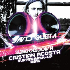 David Guetta & Showtek Vs Borgeous & Tony Junior - Break The Sun Goes Down Cristian Acosta FREE