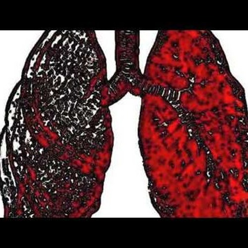Eat Out Of Your Lungs