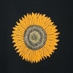 The Flower (Original Song) Live