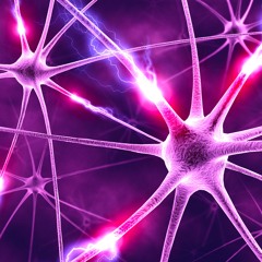 Synapse (rough idea)